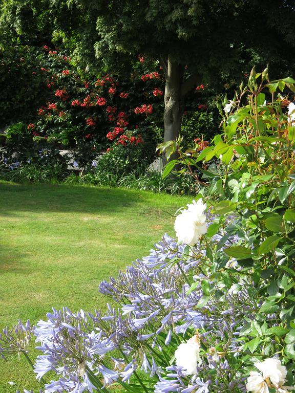 Maples On Harewood Bed and Breakfast Christchurch Exteriör bild