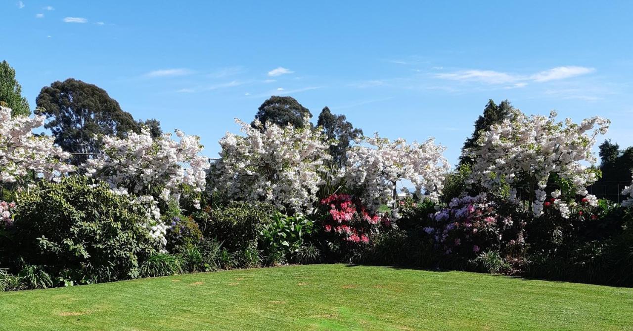 Maples On Harewood Bed and Breakfast Christchurch Exteriör bild