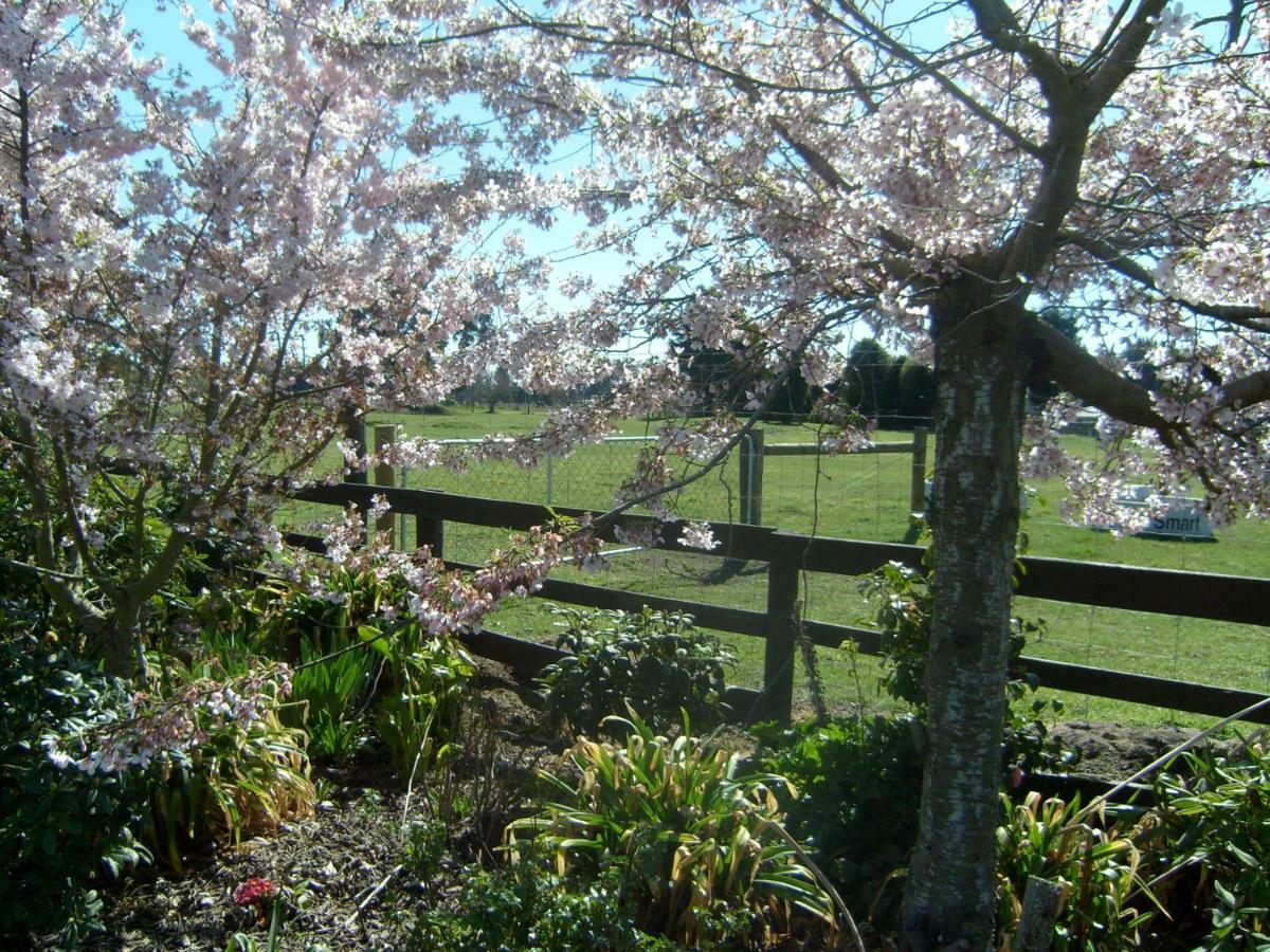 Maples On Harewood Bed and Breakfast Christchurch Exteriör bild